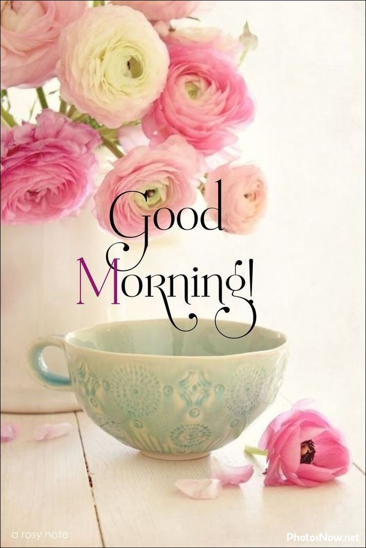 new-good-morning-pic-hd new-good-morning-pic-hd