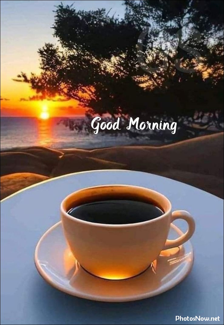 new-good-morning-pic-hd new-good-morning-pic-hd