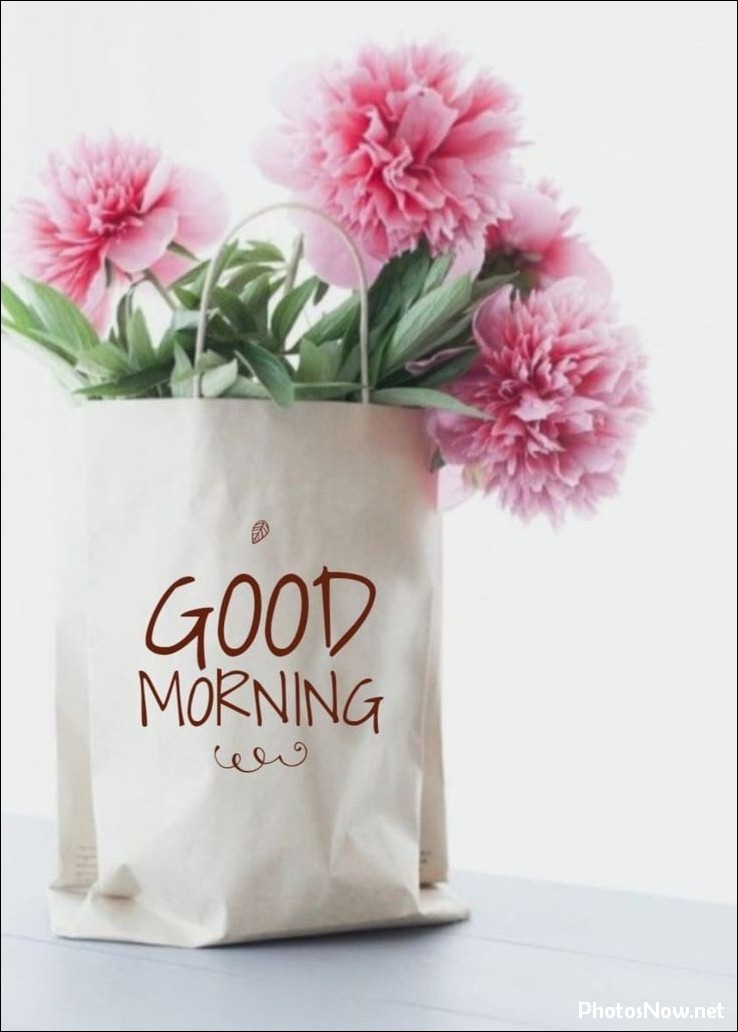 new-good-morning-pic-hd new-good-morning-pic-hd