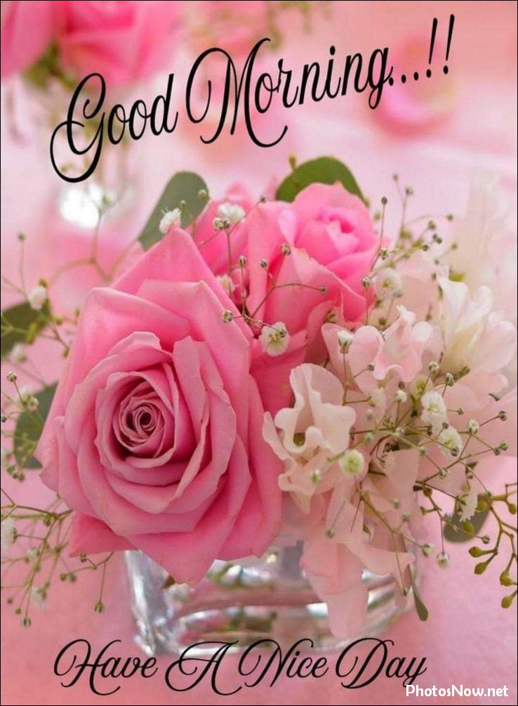 new-good-morning-pic-hd new-good-morning-pic-hd