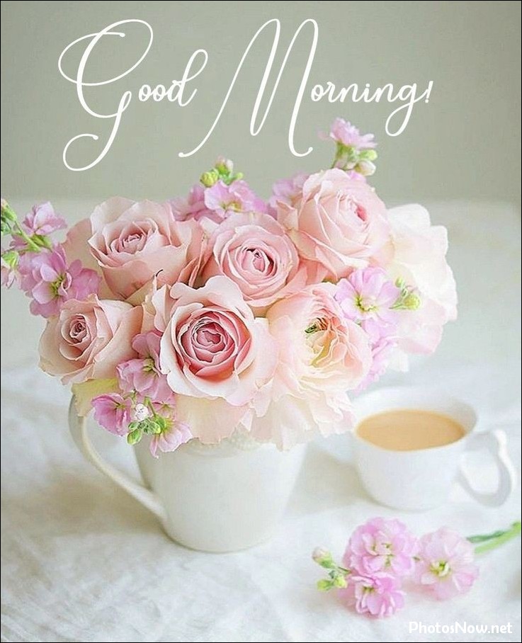 new-good-morning-pic-hd new-good-morning-pic-hd