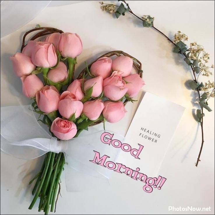 new-good-morning-pic-hd new-good-morning-pic-hd