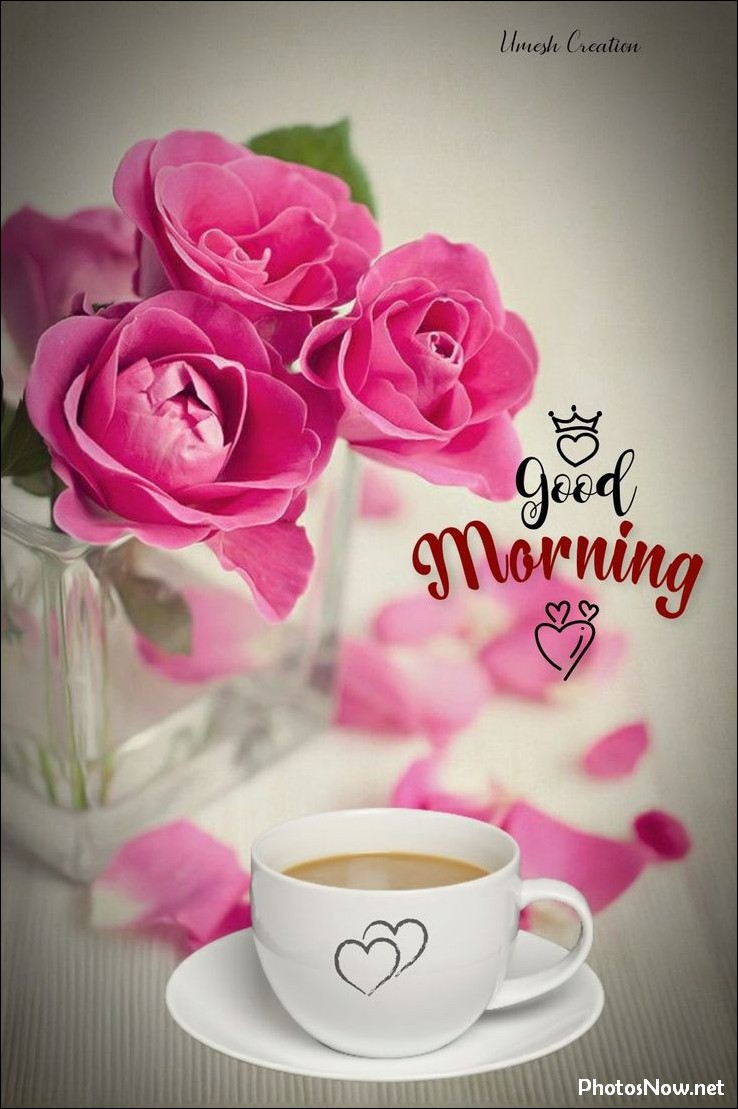 new-good-morning-pic-hd new-good-morning-pic-hd