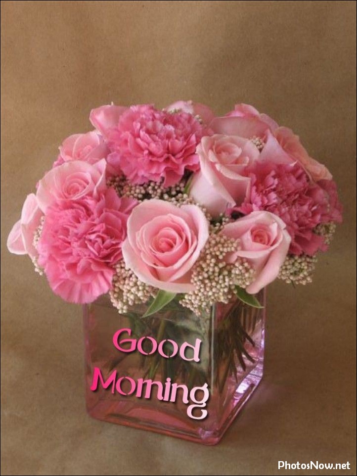 new-good-morning-pic-hd new-good-morning-pic-hd