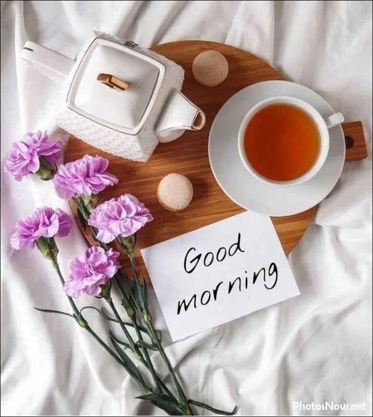 new-good-morning-pic-hd new-good-morning-pic-hd