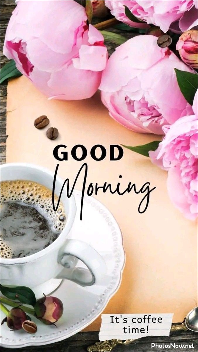new-good-morning-pic-hd new-good-morning-pic-hd