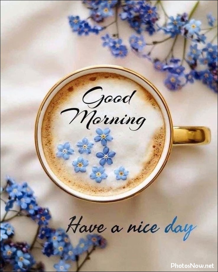 new-good-morning-pic-hd new-good-morning-pic-hd