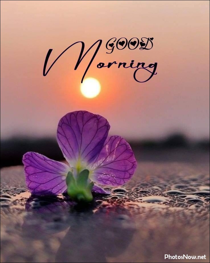 new-good-morning-pic-hd new-good-morning-pic-hd