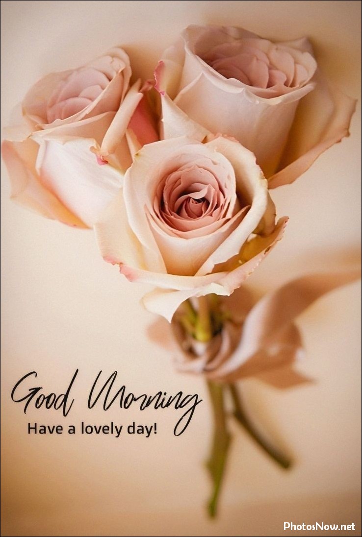 new-good-morning-pic-hd new-good-morning-pic-hd