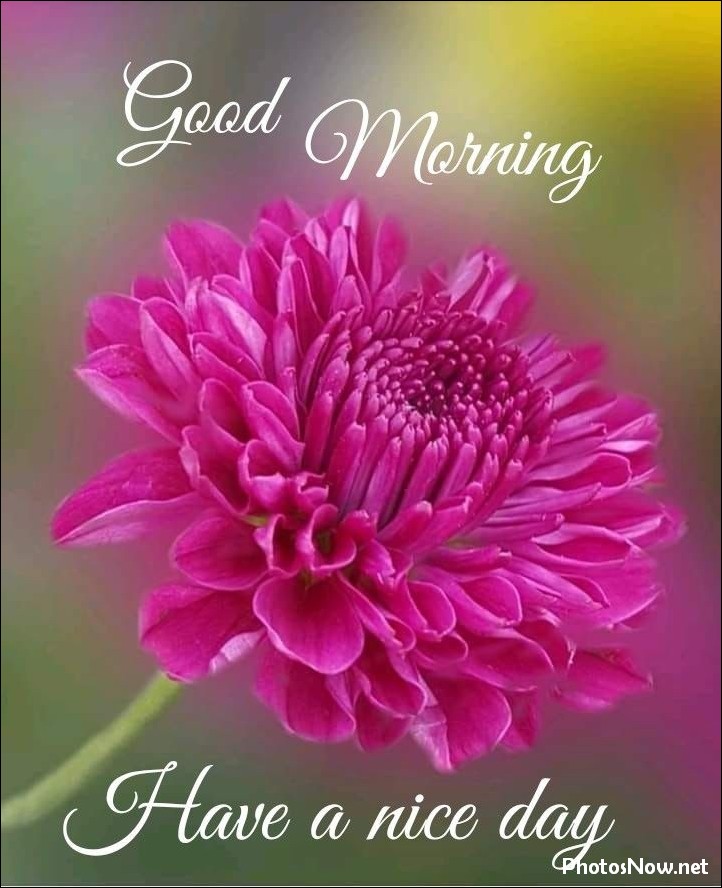 new-good-morning-pic-hd new-good-morning-pic-hd