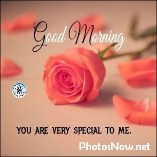 new-good-morning-pic-hd new-good-morning-pic-hd