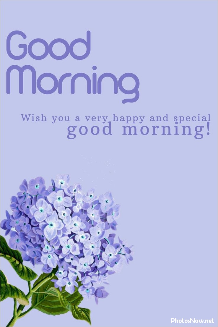 new-good-morning-pic-hd new-good-morning-pic-hd