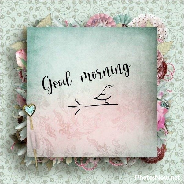 new-good-morning-pic-hd new-good-morning-pic-hd