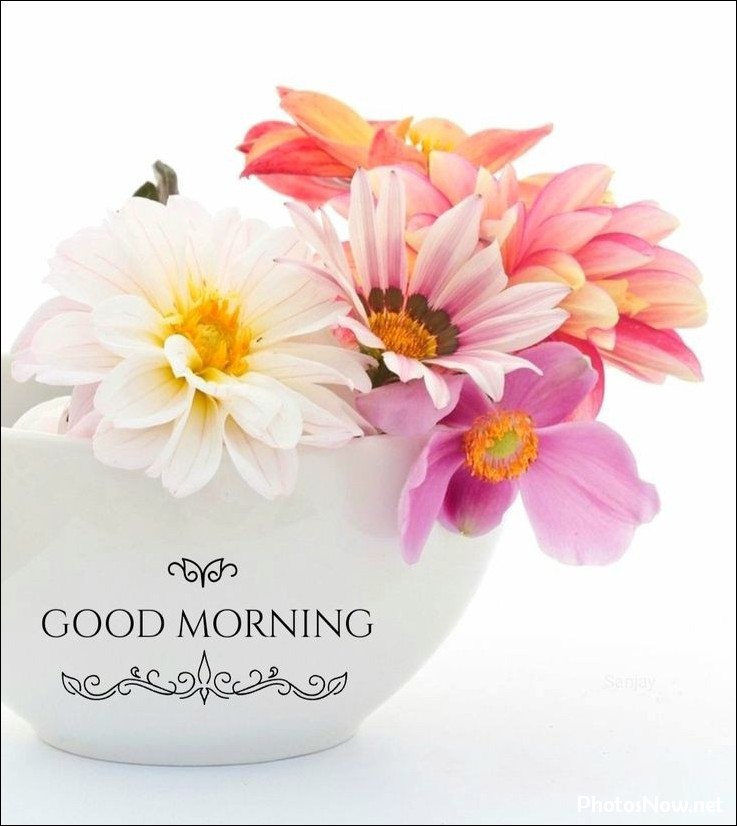 new-good-morning-pic-hd new-good-morning-pic-hd