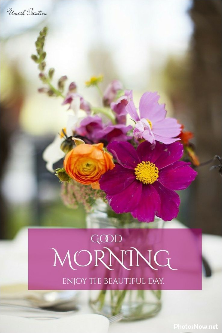new-good-morning-pic-hd new-good-morning-pic-hd