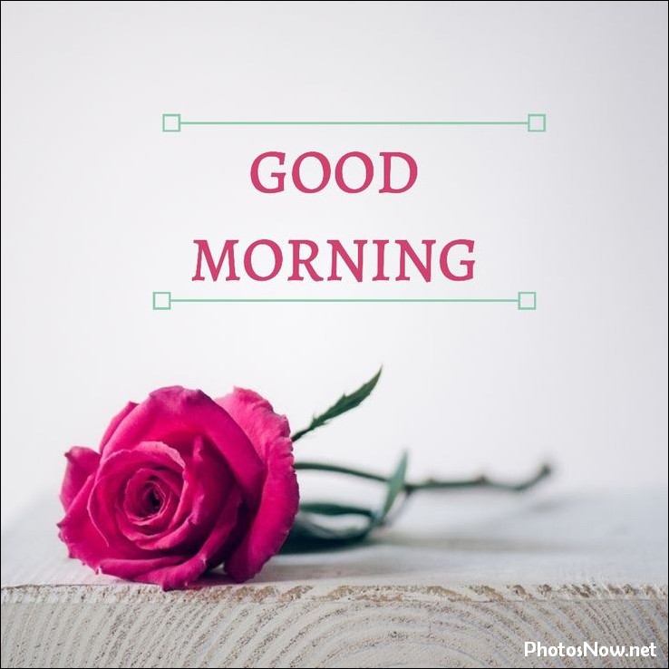 new-good-morning-pic-hd new-good-morning-pic-hd