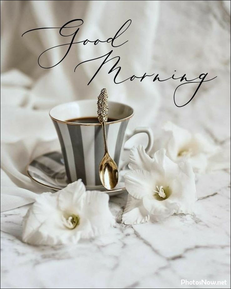 new-good-morning-pic-hd new-good-morning-pic-hd