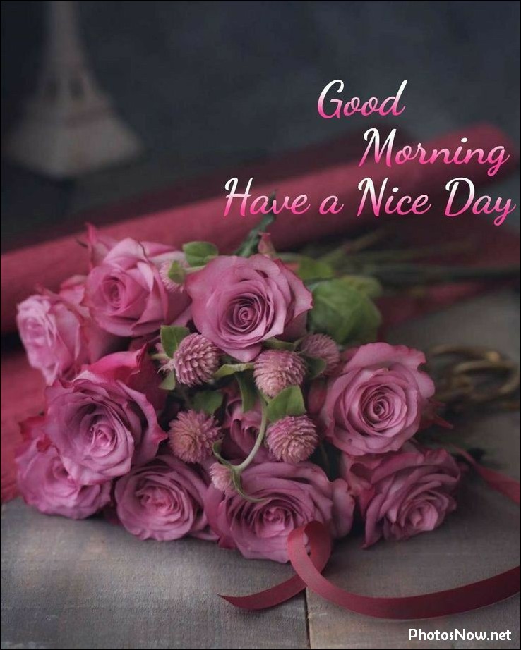 new-good-morning-pic-hd new-good-morning-pic-hd