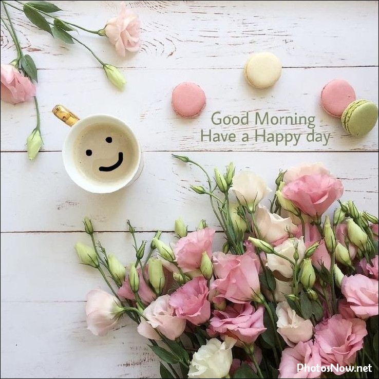 new-good-morning-pic-hd new-good-morning-pic-hd