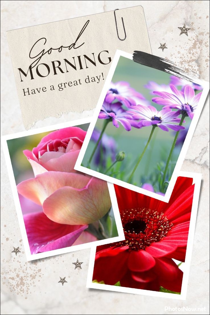 new-good-morning-pic-hd new-good-morning-pic-hd