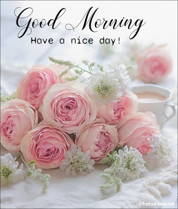 new-good-morning-pic-hd new-good-morning-pic-hd