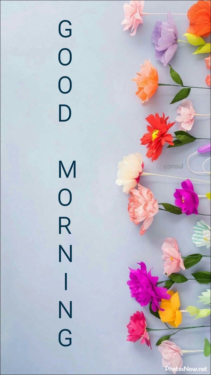 new-good-morning-pic-hd new-good-morning-pic-hd
