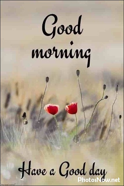 today-special-good-morning-images today-special-good-morning-images