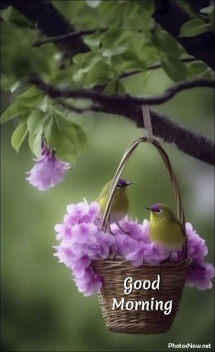 today-special-good-morning-images today-special-good-morning-images