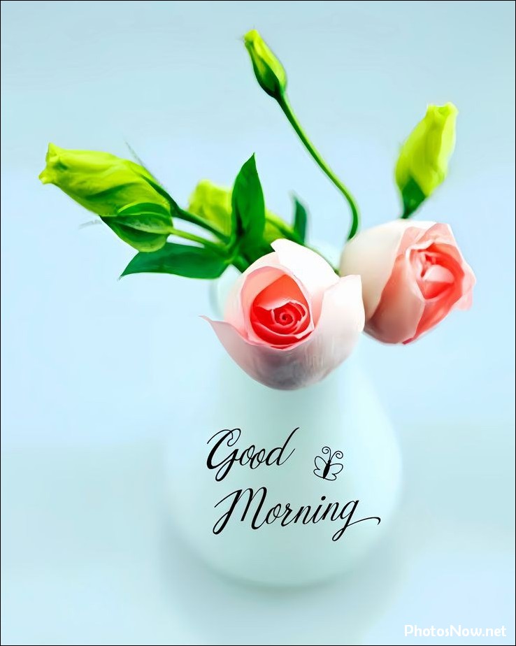 today-special-good-morning-images today-special-good-morning-images