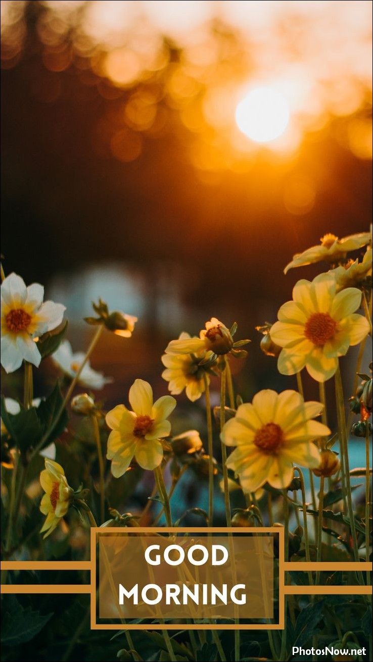 today-special-good-morning-images today-special-good-morning-images