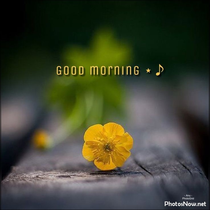 today-special-good-morning-images today-special-good-morning-images