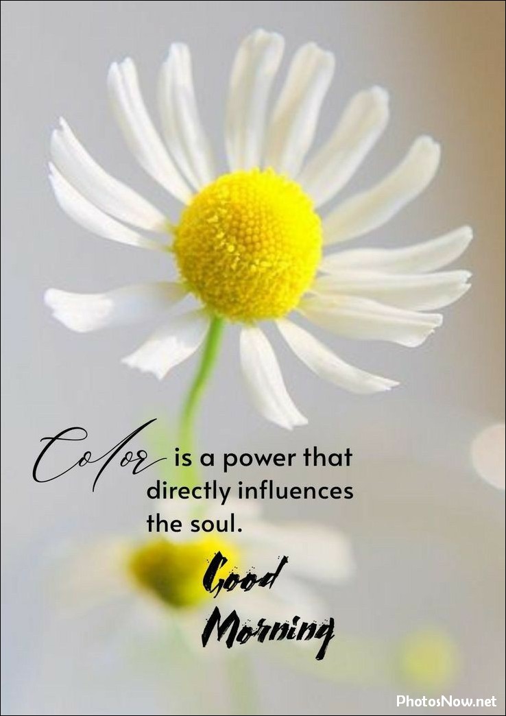 today-special-good-morning-images today-special-good-morning-images