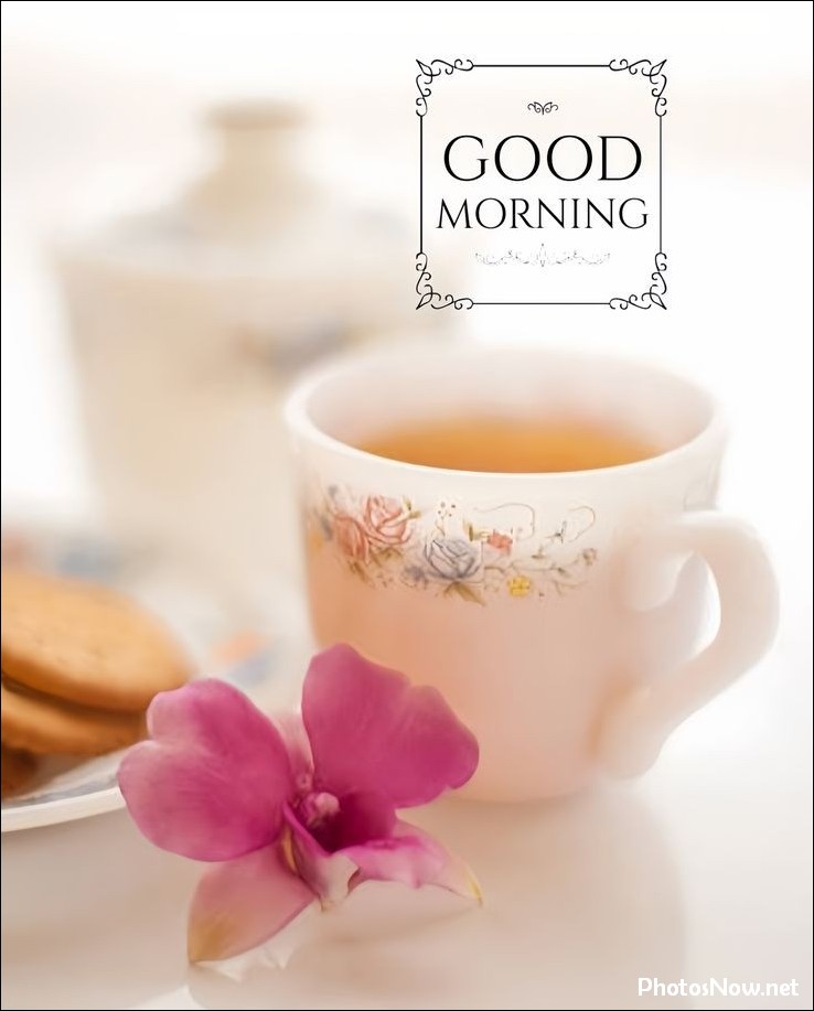today-special-good-morning-images today-special-good-morning-images