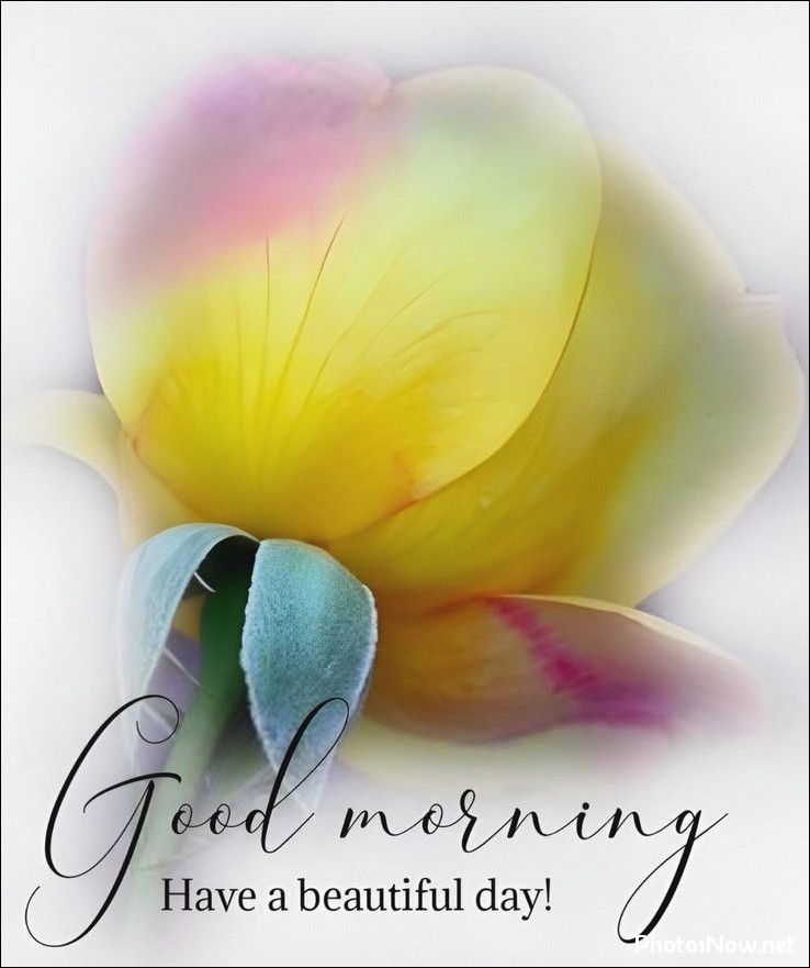 today-special-good-morning-images today-special-good-morning-images