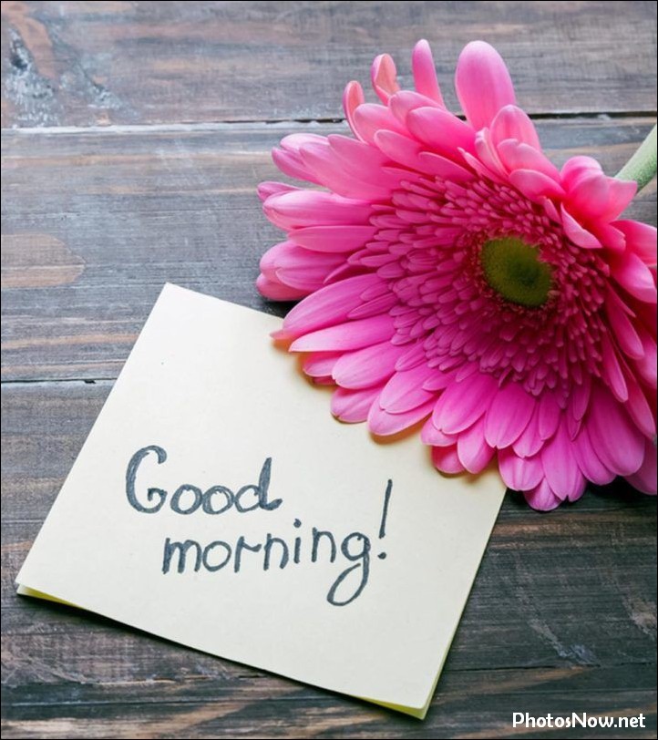 today-special-good-morning-images today-special-good-morning-images