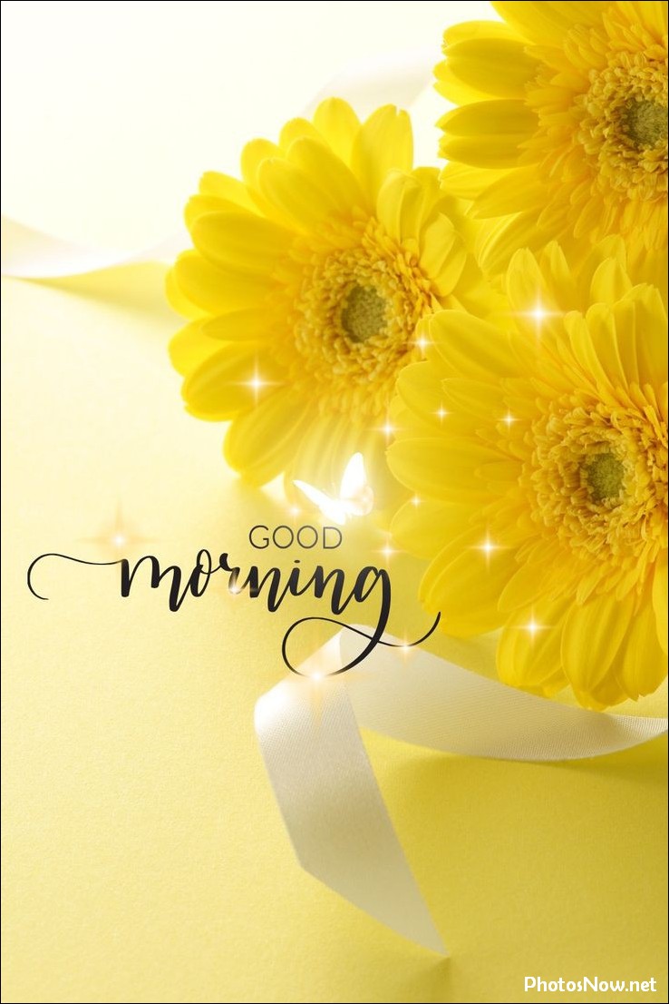 today-special-good-morning-images today-special-good-morning-images