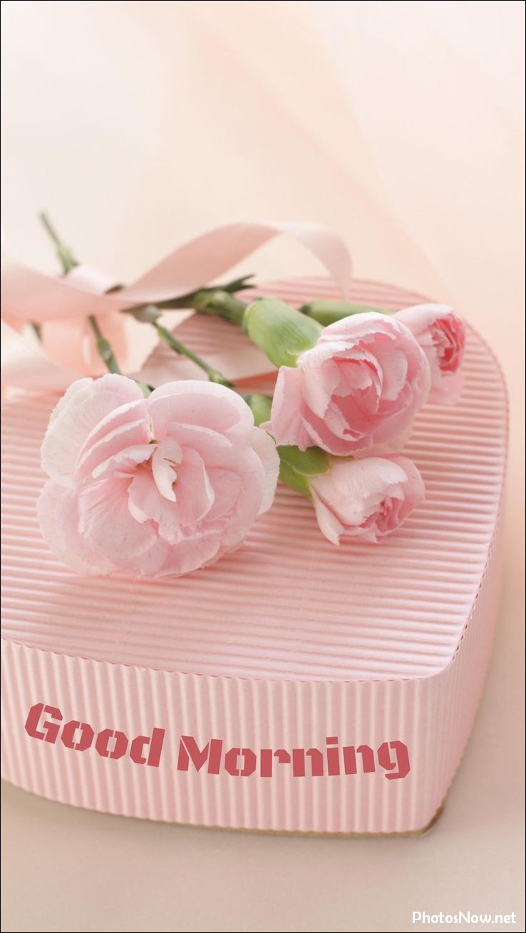 today-special-good-morning-images today-special-good-morning-images