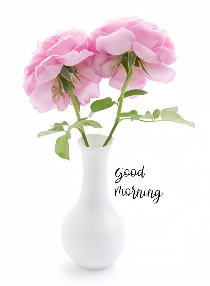 today-special-good-morning-images today-special-good-morning-images