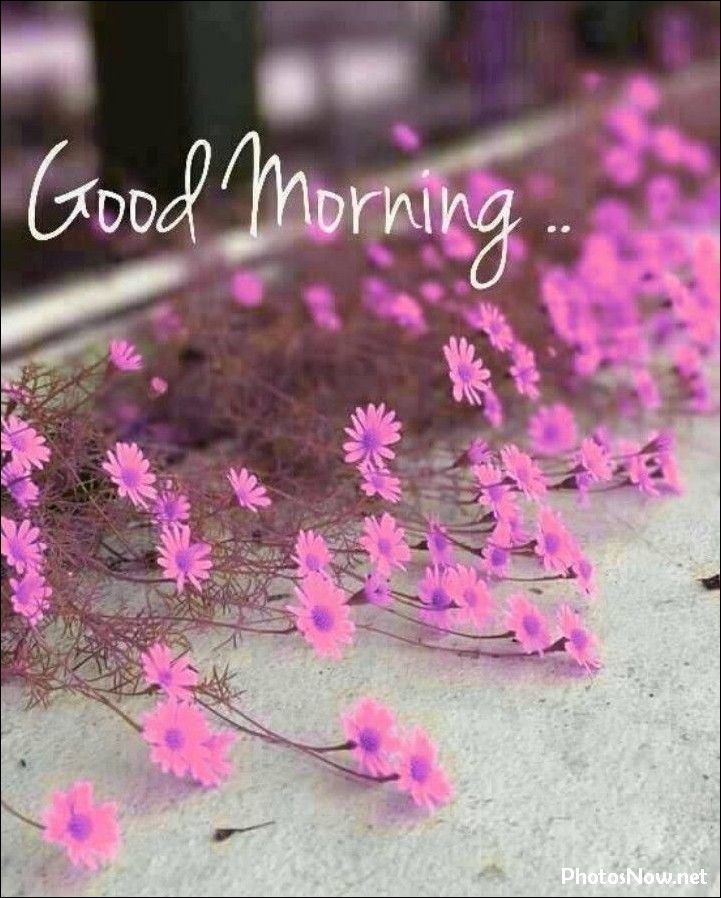 today-special-good-morning-images today-special-good-morning-images