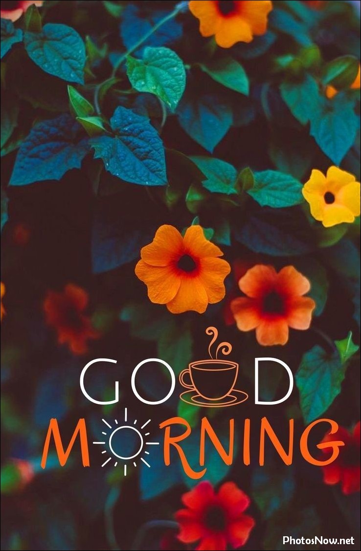 today-special-good-morning-images today-special-good-morning-images