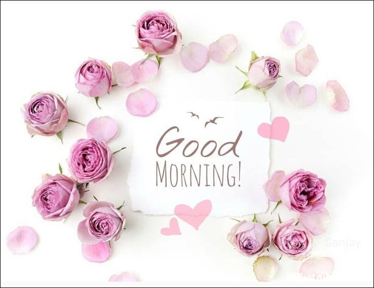 today-special-good-morning-images today-special-good-morning-images