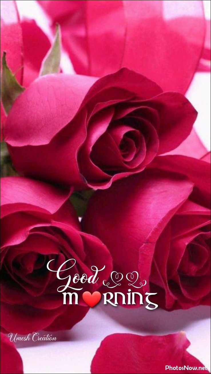today-special-good-morning-images today-special-good-morning-images