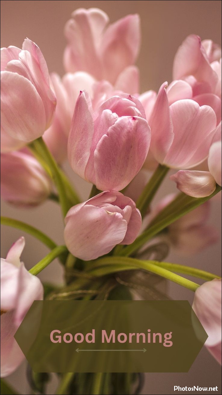 today-special-good-morning-images today-special-good-morning-images