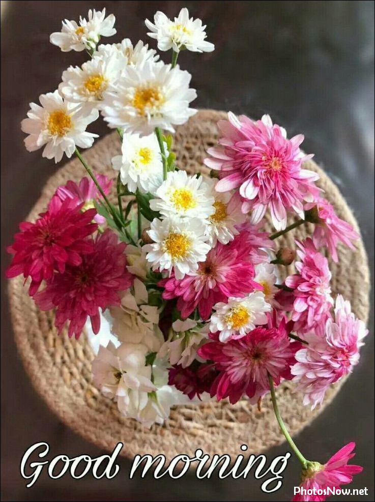 today-special-good-morning-images today-special-good-morning-images