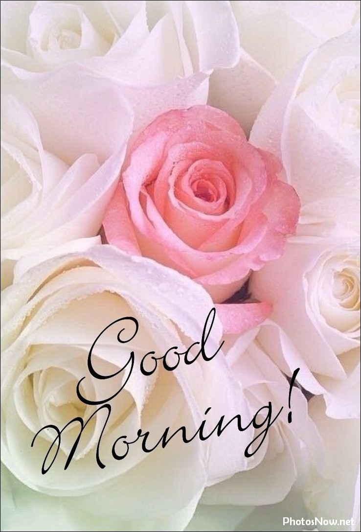 today-special-good-morning-images today-special-good-morning-images