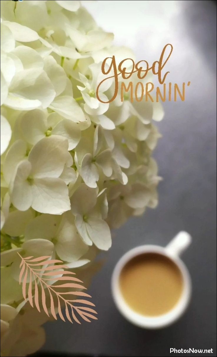 today-special-good-morning-images today-special-good-morning-images