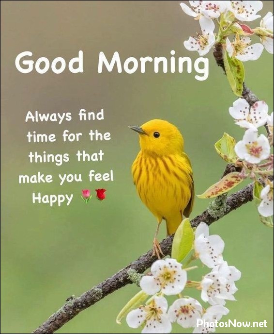 today-special-good-morning-images today-special-good-morning-images
