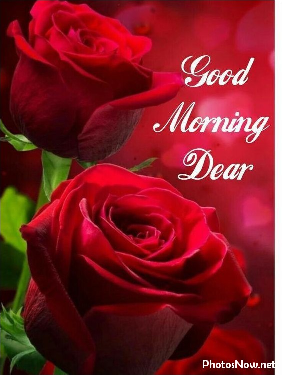today-special-good-morning-images today-special-good-morning-images