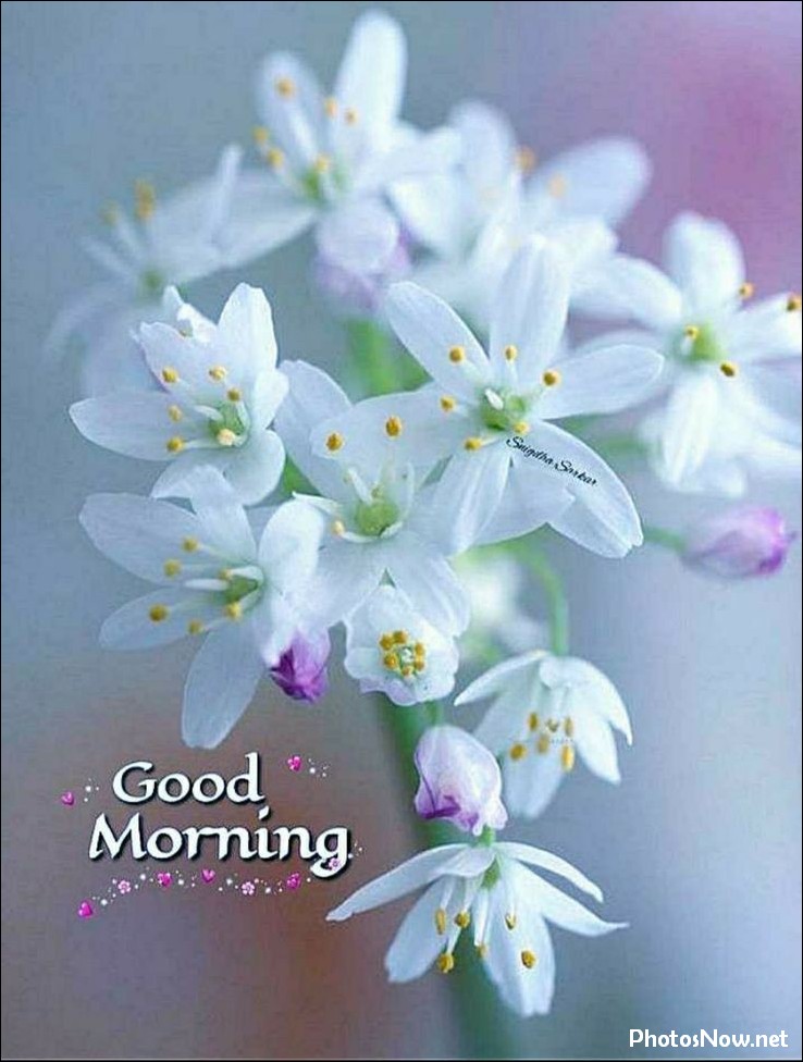 today-special-good-morning-images today-special-good-morning-images