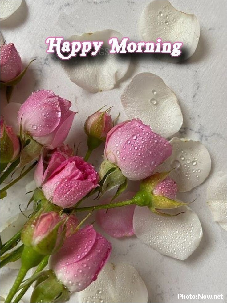 today-special-good-morning-images today-special-good-morning-images